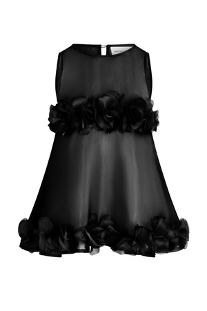 Ghost image of sheer black tank top with ruffle across the bust and hem.