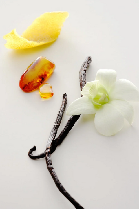 Vanilla bean pods, a white vanilla orchid flower, and amber-colored gemstones arranged on a clean white background.