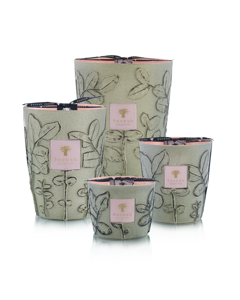 Folia Maquis Candle Max 24