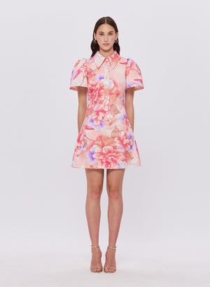 Brooke Short Sleeve Mini Dress