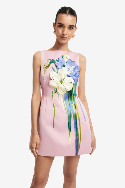 Ali Embroidered Boat Neck Mini Dress