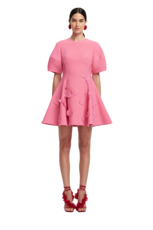 Woman wearing a pink dress with floral applique details on a white background