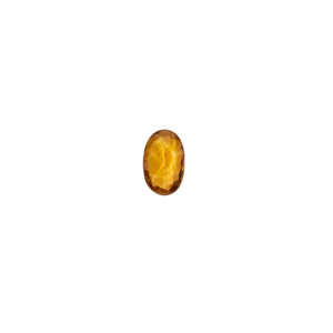 Citrine November Birthstone Charm