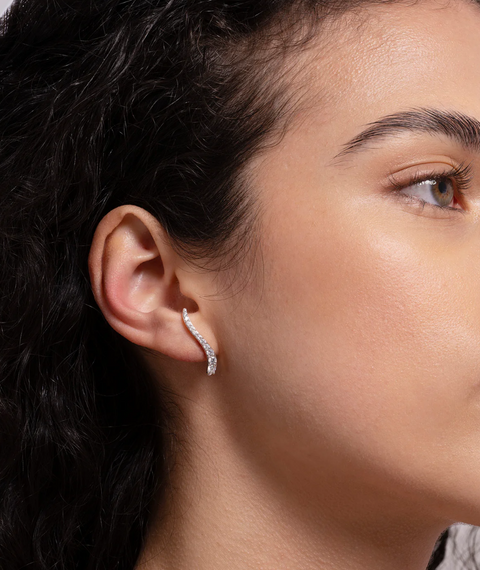 Pair Of Ray Earrings