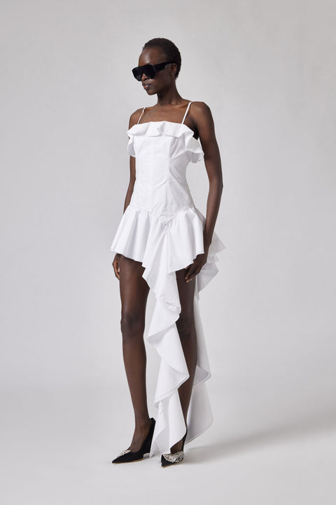 Mini Dress with Ruffle Detail