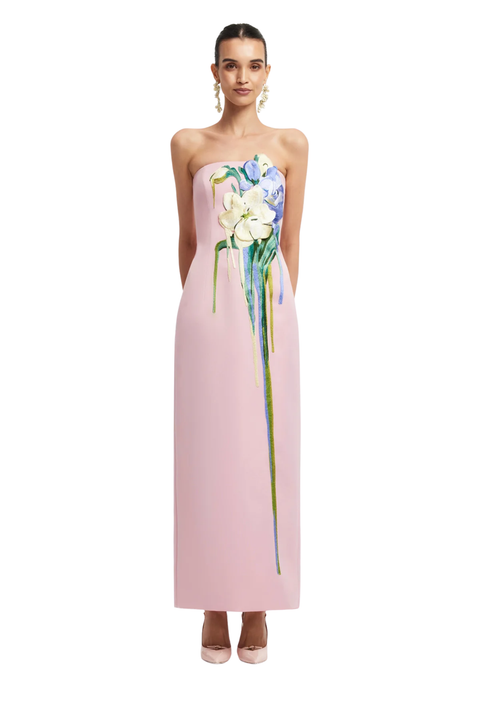 Rayna Embroidered Bustier Maxi Dress