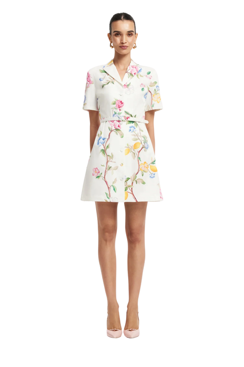 Brigitte Mini Dress