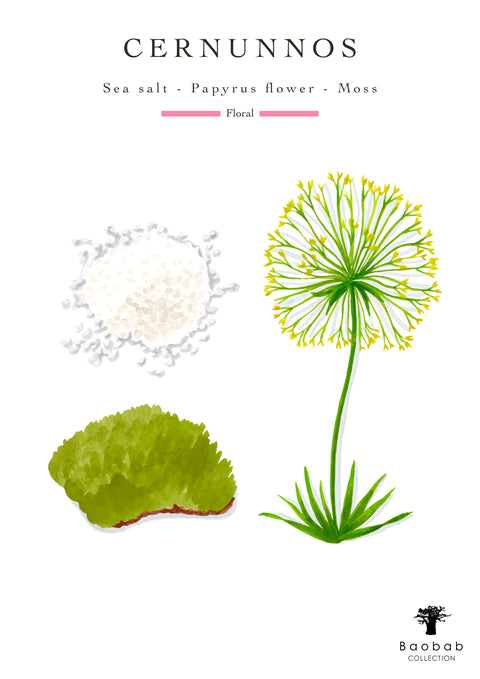 Candle Brame Cernunnos