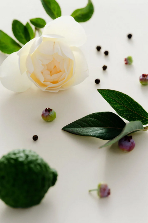 A white rose with green leaves arranged on a clean white surface, alongside a green textured fruit, small purple berries, and scattered dark seeds.