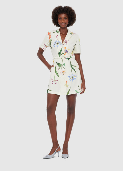 Brigitte Mini Dress