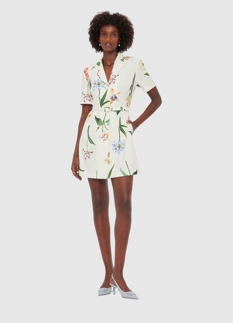 Brigitte Mini Dress