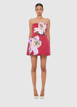 Rosario Applique Floral Bustier Mini Dress