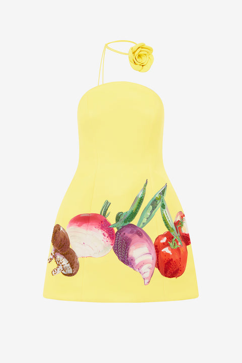 Zaria Bustier Mini Dress