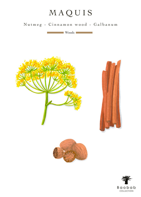 Folia Maquis Candle Max 24