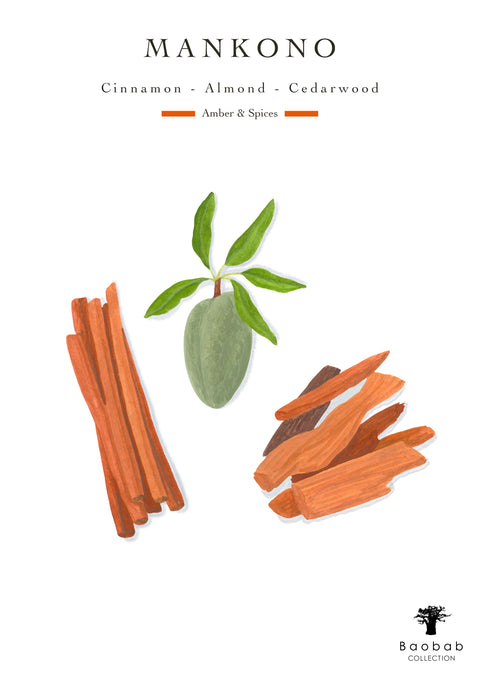 Candle Sacred Trees Mankono