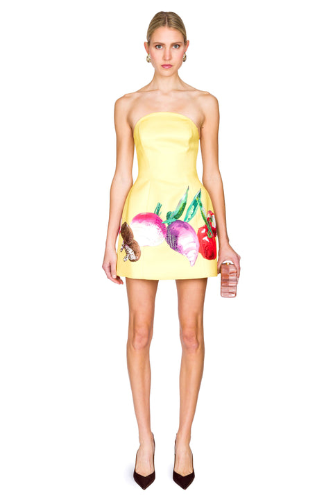 Zaria Bustier Mini Dress