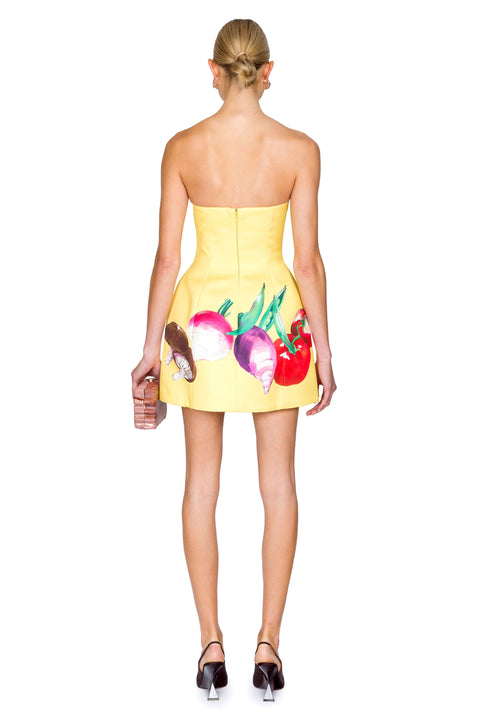 Zaria Bustier Mini Dress