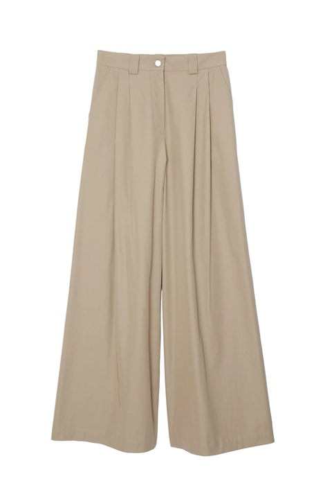 Wide Leg Pleated Pants